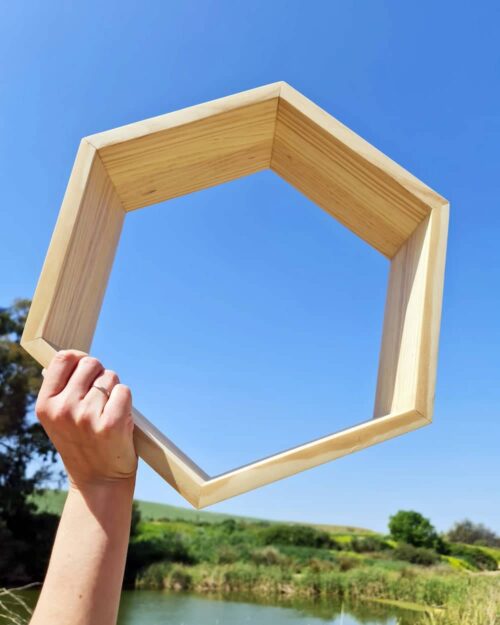 Estantería Hexagonal