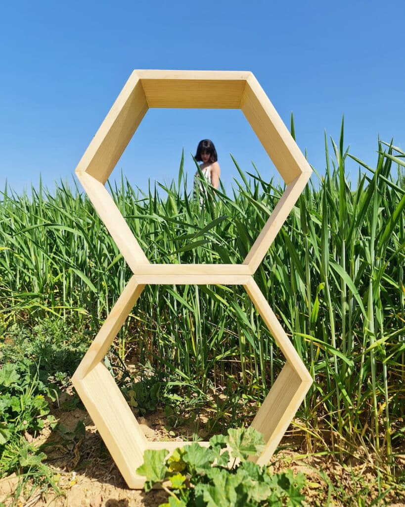 ESTANTERIA HEXAGONAL 8