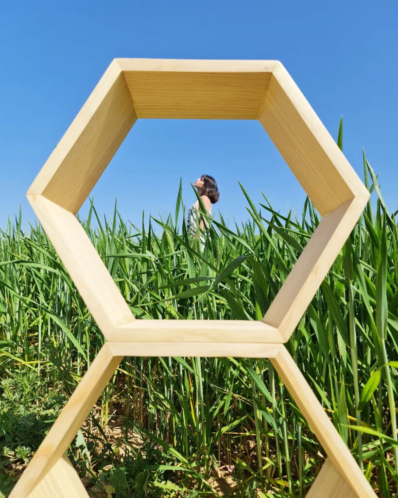 ESTANTERIA HEXAGONAL 9