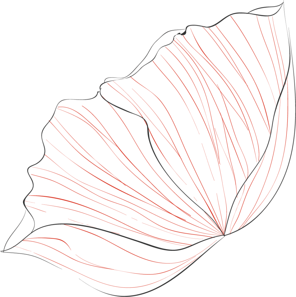 FLOR TIPO 3Recurso 9web e1660038116110
