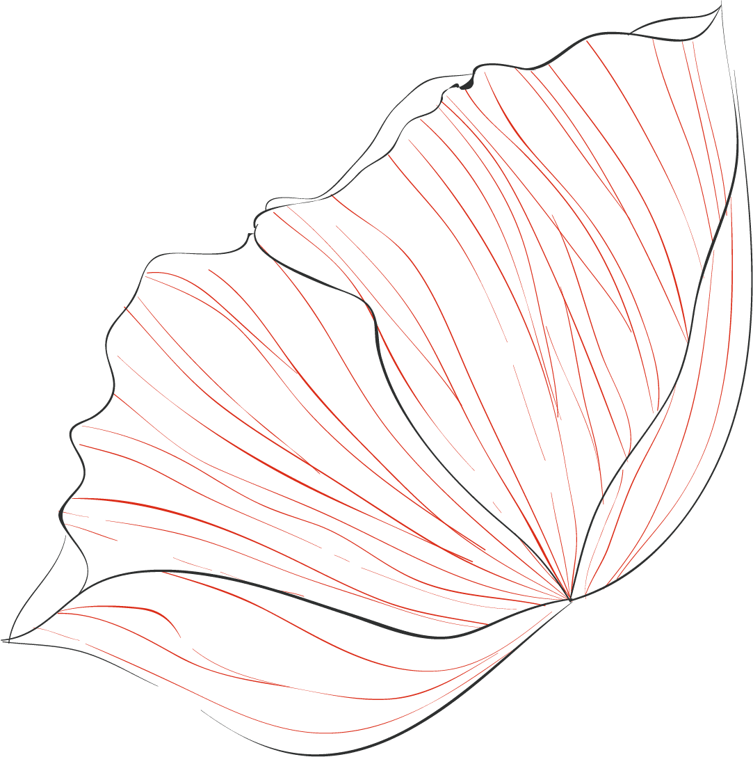 FLOR TIPO 3Recurso 9web e1660038116110