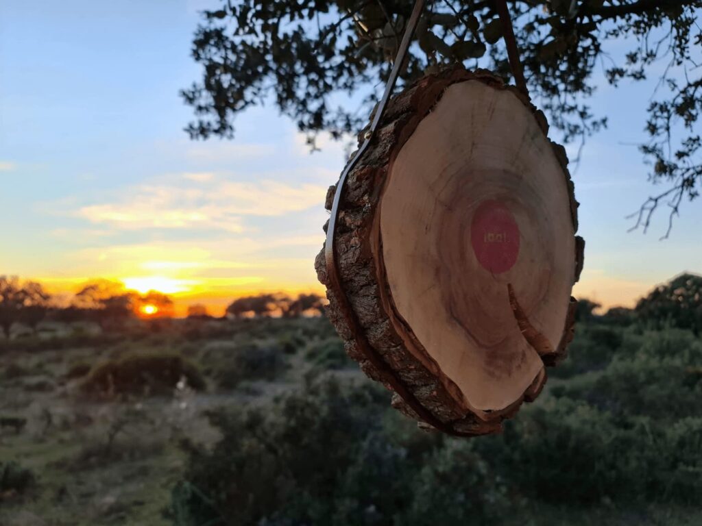 espejo