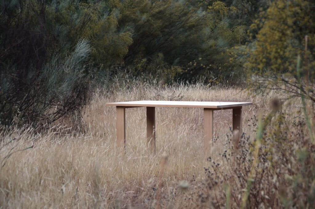 naturaleza 2