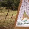 cama tipi Noah 4